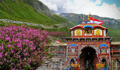 Badrinath with Hemkund Sahib-Valley of Flowers